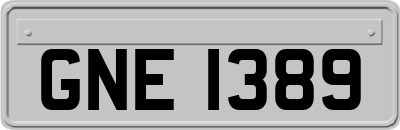 GNE1389