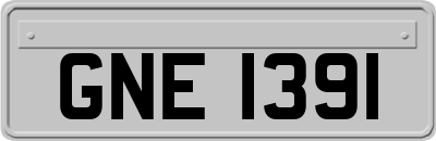 GNE1391