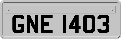 GNE1403