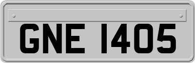 GNE1405