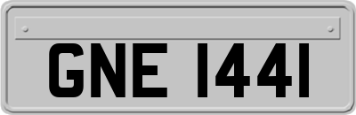 GNE1441