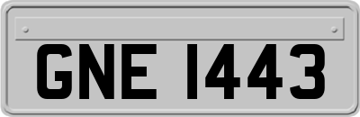 GNE1443