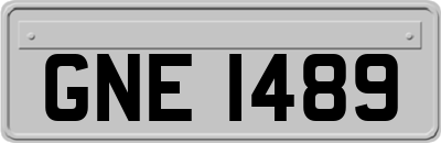 GNE1489