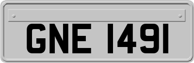 GNE1491