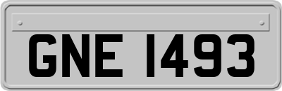 GNE1493