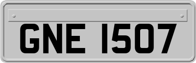 GNE1507