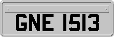 GNE1513