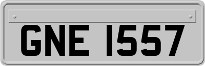 GNE1557