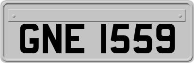 GNE1559