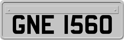 GNE1560