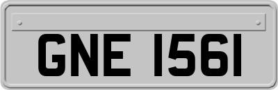 GNE1561