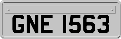 GNE1563