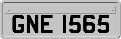 GNE1565