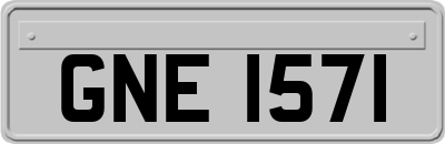 GNE1571