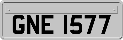 GNE1577