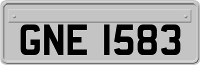 GNE1583
