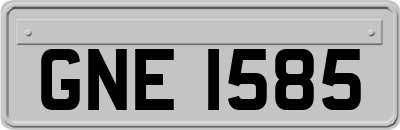 GNE1585