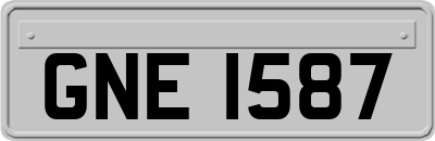GNE1587