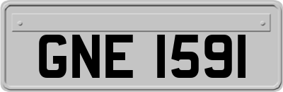 GNE1591