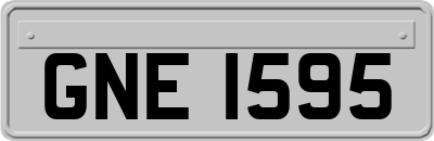GNE1595