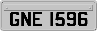 GNE1596