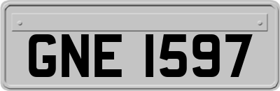 GNE1597