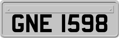 GNE1598