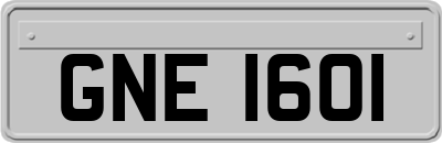 GNE1601