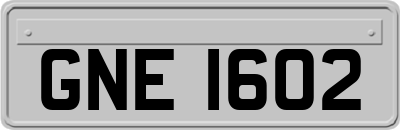 GNE1602