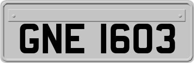 GNE1603