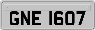 GNE1607