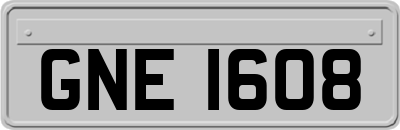 GNE1608