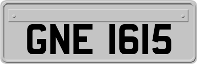 GNE1615