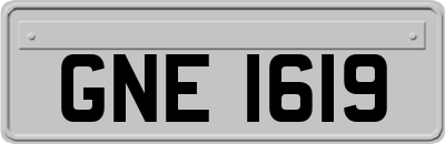 GNE1619