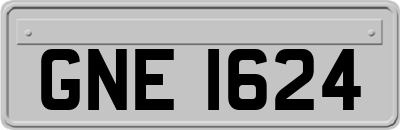 GNE1624