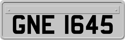 GNE1645