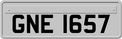 GNE1657
