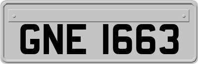 GNE1663