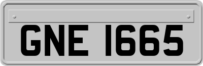 GNE1665