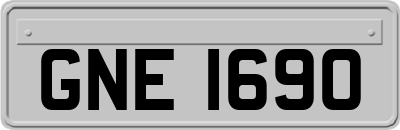 GNE1690