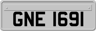 GNE1691
