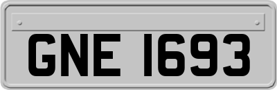 GNE1693