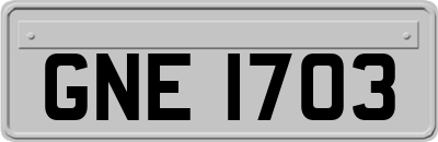 GNE1703