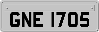 GNE1705