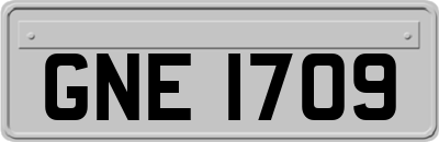 GNE1709
