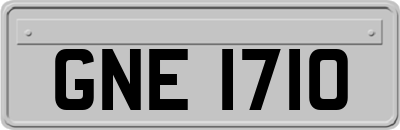GNE1710