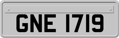 GNE1719