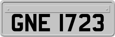 GNE1723