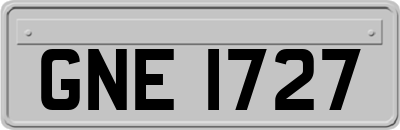 GNE1727