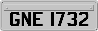 GNE1732